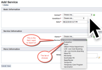 Service Type.jpg
